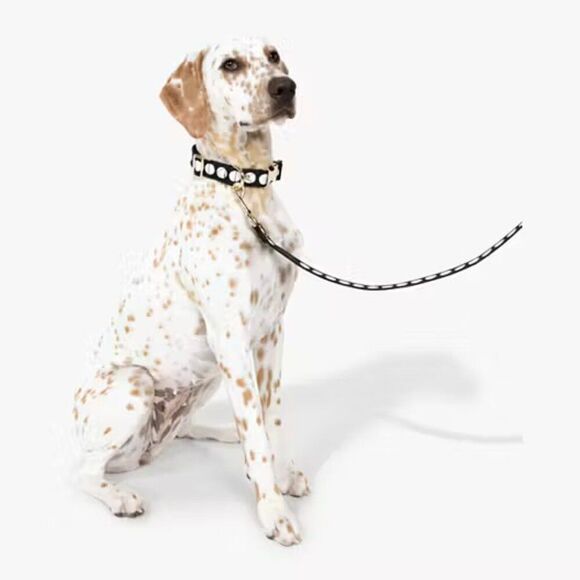 Kate Spade Black and White Polka Dot Pet Collar and Leash Set- Size M/L - Picture 1 of 6